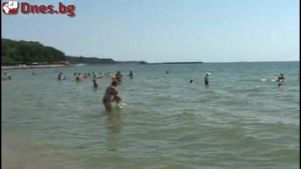 На плажа ми харесват жените ... и пясъка