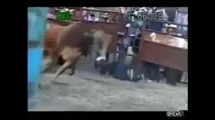 Много смехории