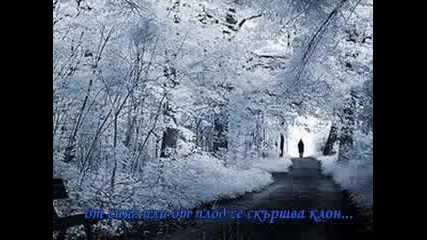 - Не Те Измести Никой - .