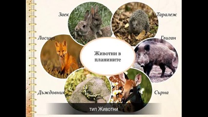 Многообразие и класификация на организмите