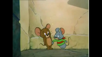Tom & Jerry Neapolitan Mouse Hd 
