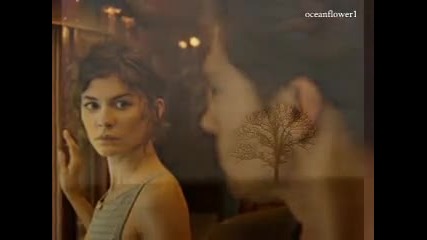 Ernesto Cortazar - Strangers in the night