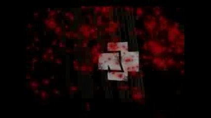 Rammstein The New Album 2009