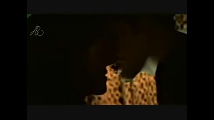 Hot N Cold - Bella amp Edward