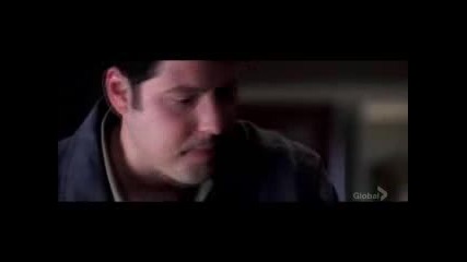 Petrellis thirteen