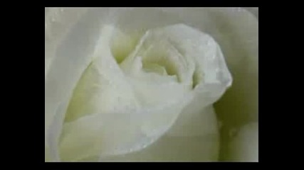 Armik - For Your Eyes
