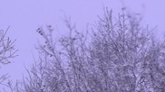 Варна - първи сняг (видео от платото над града)