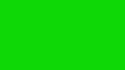 Loading Lost Connection Green Screen With Sound Effect.mp4