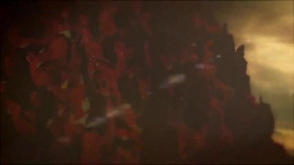Swarms - Forest (unofficial video)