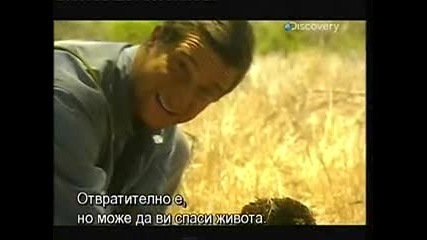 Оцеляване на предела (част 2) 