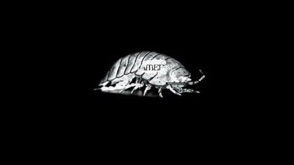Late - Losing You