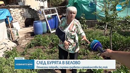 Ураган нанесе щети в Белово и Дъбравите