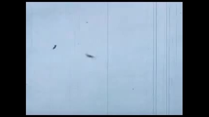 B17 vs Luftwaffe 