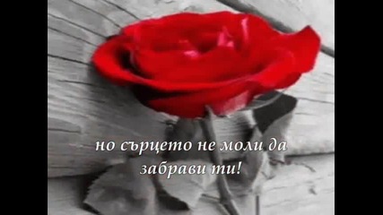 Сашо Роман-вече късно е (текст)