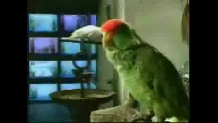 смешни животни - много смях