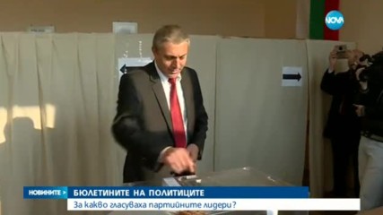 За какво гласуваха партийните лидери?