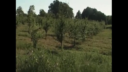 Zvuci Podrinja - Ja izvornu volim - (Official video 2009)