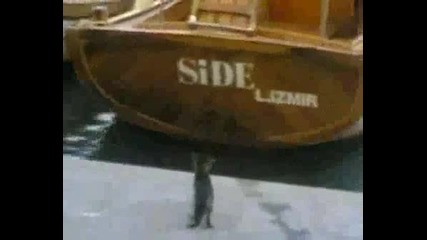 Clumsy Cat Go Under Ship Ass .wmv