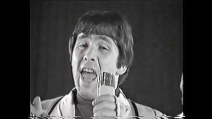 The Troggs - Anyway That You Want Me 