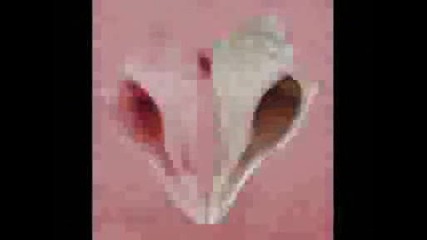Sea Of Love - Robert Plant