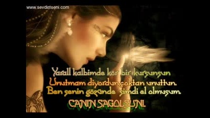 Burhan Г§aг§an Dг¶n Gel Artik.flv