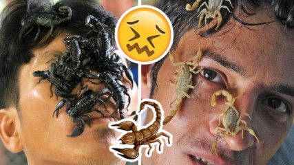 WTF?! Скорпиони ходят по лица на хора заради странен ритуал!