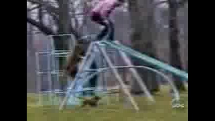 Смях