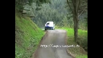 Рали Инцидент 