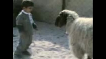Kid Vs Goat.