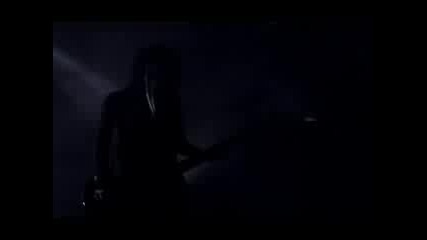 Garden Of Delight - Illuminate