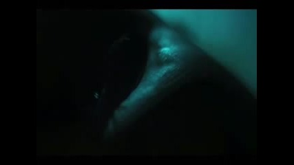 November's Doom - Silent Tomorrow