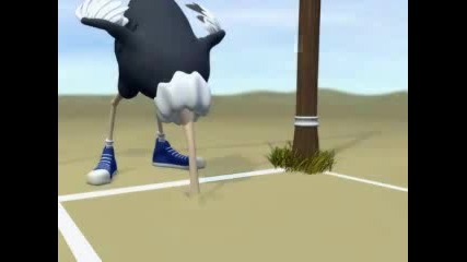 Animation Race Between Penguin And Ostrich