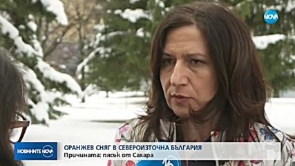 Жълтеникав сняг валя в Североизточна България