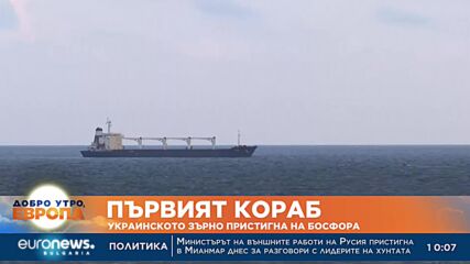 Първият кораб с украинско зърно пристигна на Босфора