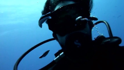 Риби плуват в устата на водолаз