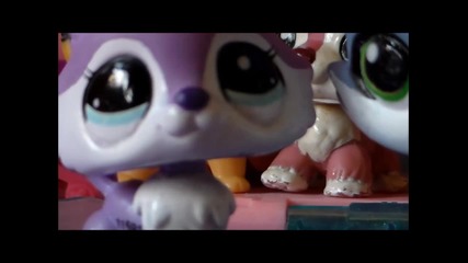 Lps:live like a star♥