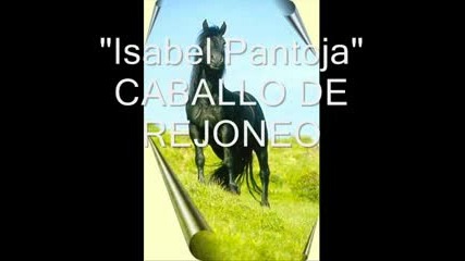 Caballo De Rejoneo