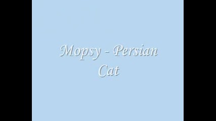 My Pets