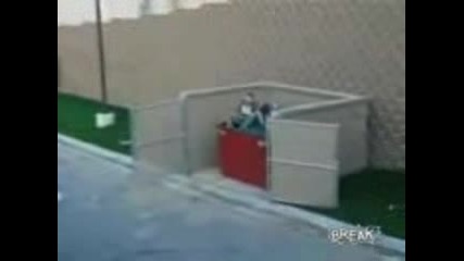 Parkour Jump Off Dumpster Fails 
