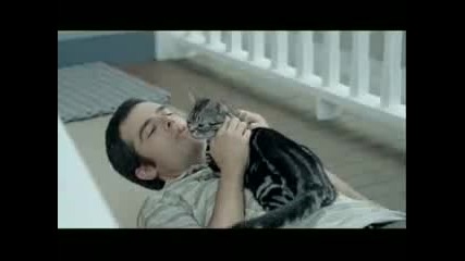 New Whiskas Commercial 