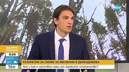 Депутат от ПП: Около една пета от парите от дърводобив се отклоняват към партийни каси