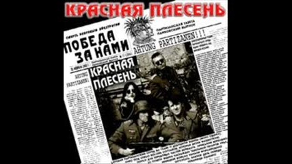 Красная плесень - Постой, Бабы как кошки 1993 г . 