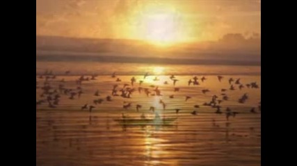 Sunset - Romantic guitar