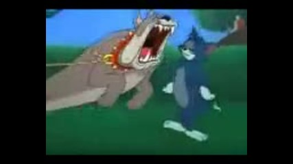 Tom & Djery (bg parody) 