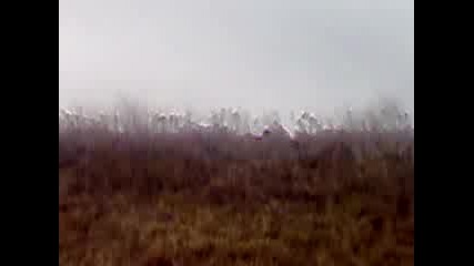 Най - Добрият Моторист В Галиче 2