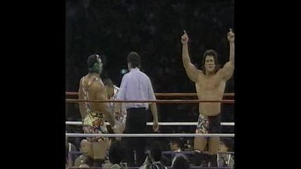 The Steiner Brothers vs Hiroshi Hase & Kensuke Sasaki 