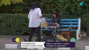 Производители отказват да берат грозде