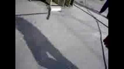 Gogata.3gp