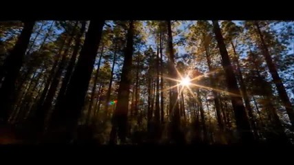 Eric Clapton - Let It Grow