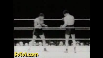 Joe Louis Vs Max Bear